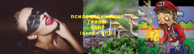 МЕГА ТОР  Гудермес  Галлюциногенные грибы Psilocybine cubensis 